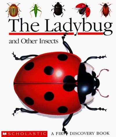 Cover of The Ladybug and Other Insects