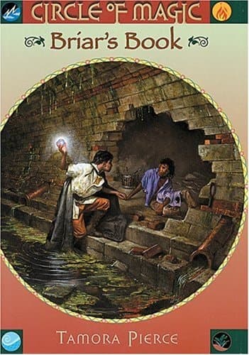 Cover of Briar's Book
