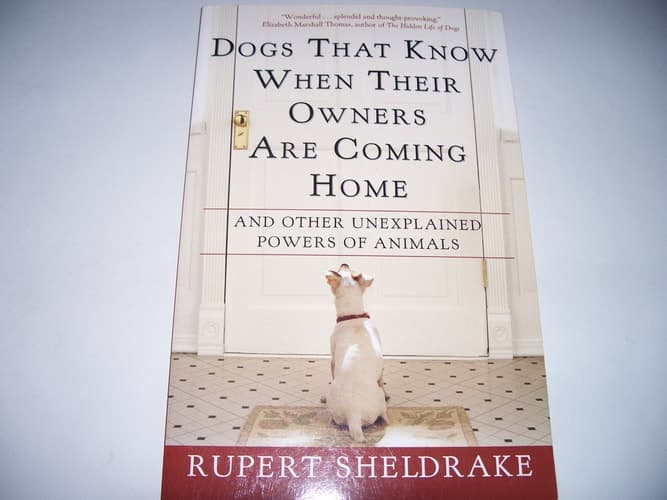 Cover of Dogs that Know when Their Owners are Coming Home And Other Unexplained Powers of Animals