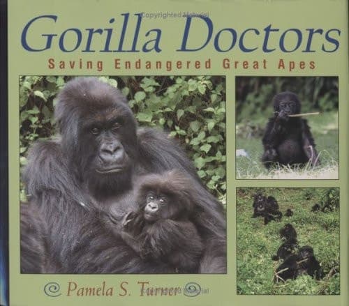 Cover of Gorilla Doctors Saving Endangered Great Apes