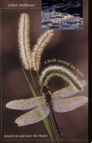 Cover of A Walk around the Pond Insects in and over the Water