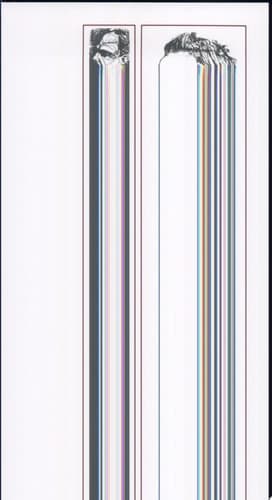 Cover of Nietzsche, Life as Literature