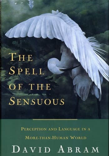 Cover of The Spell of the Sensuous: Perception and Language in a More-Than-Human World