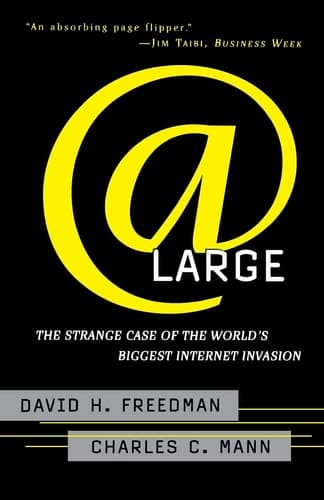 Cover of At Large The Strange Case of the World's Biggest Internet Invasion