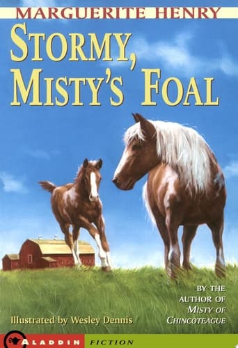 Cover of Stormy, Misty's Foal