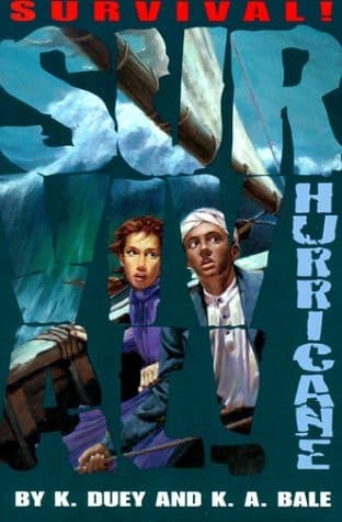 Cover of Hurricane Open Seas, 1844
