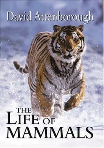 Cover of The Life of Mammals
