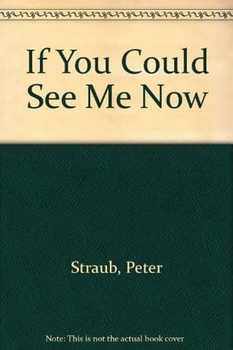 Cover of If You Could See Me Now