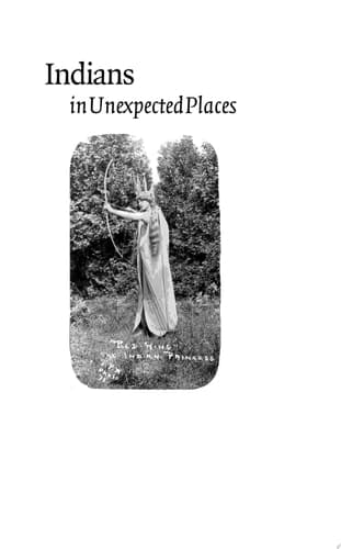 Cover of Indians in Unexpected Places
