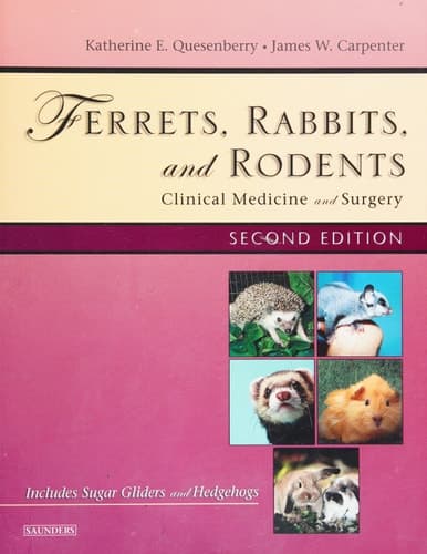 Cover of Ferrets, Rabbits, and Rodents Clinical Medicine and Surgery : Includes Sugar Gliders and Hedgehogs