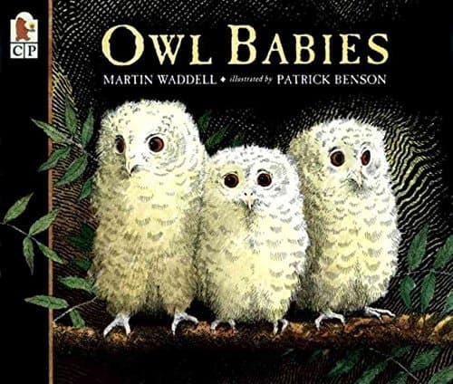 Cover of Owl Babies