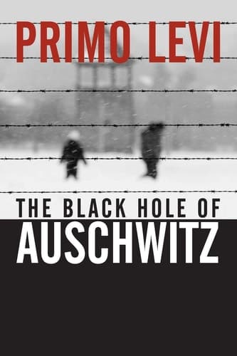 Cover of The Black Hole of Auschwitz