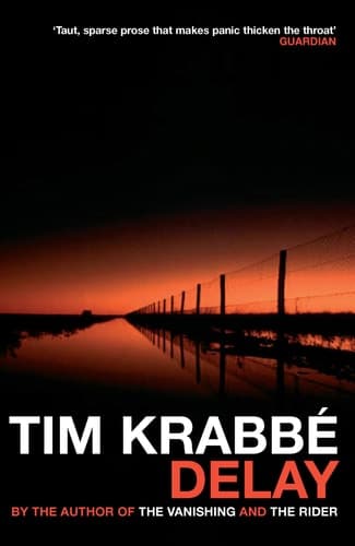 Cover of Delay