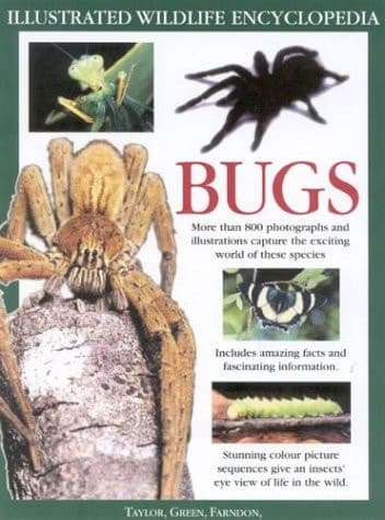 Cover of The Big Bug Book Discover the Amazing World of Beetles, Bugs, Butterflies, Moths, Insects and Spiders