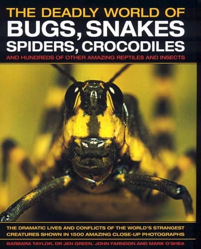 Cover of The Deadly World of Bugs, Snakes, Spiders, Crocodiles And Hundreds of Other Amazing Reptiles and Insects