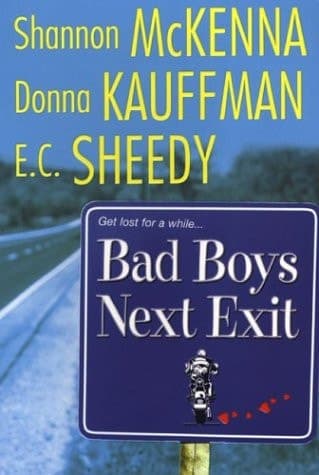 Cover of Bad Boys Next Exit