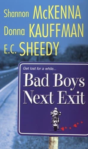 Cover of Bad Boys Next Exit