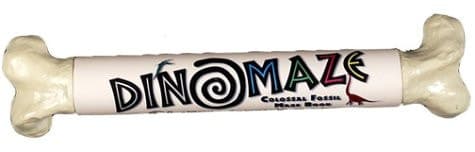 Cover of Dinomaze Colossal Fossil Maze Book