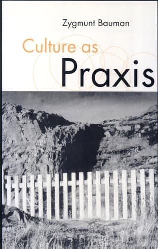 Cover of Culture as Praxis