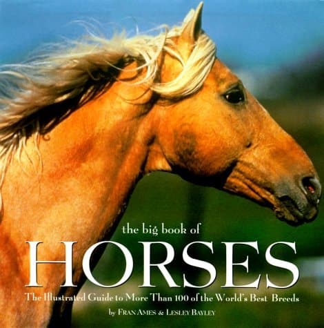 Cover of The Big Book of Horses An Illustrated Guide to More Than 100 of the World's Best Breeds