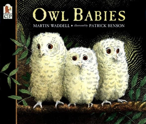 Cover of Owl Babies