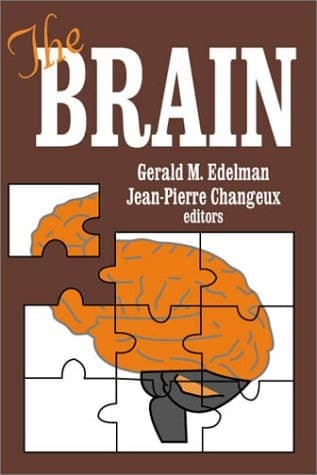 Cover of The Brain