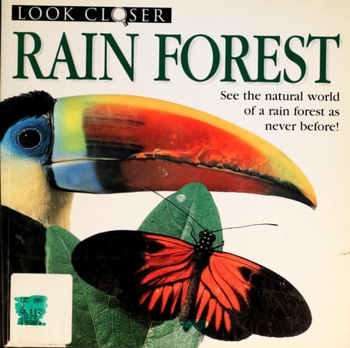 Cover of Rain Forest