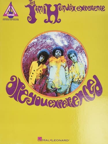 Cover of The Jimi Hendrix Experience: Are You Experienced