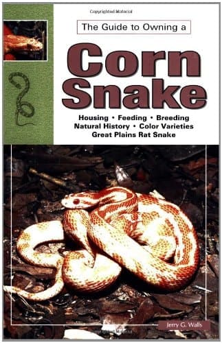 Cover of Corn and Red Rat Snakes