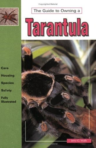 Cover of The Guide to Owning a Tarantula