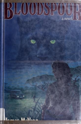 Cover of The Secret of the Underground Room