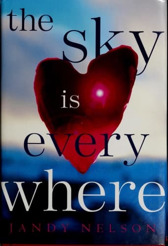 Cover of The Sky is Everywhere