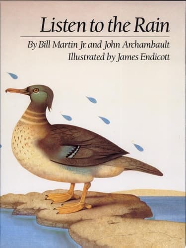 Cover of Listen to the Rain