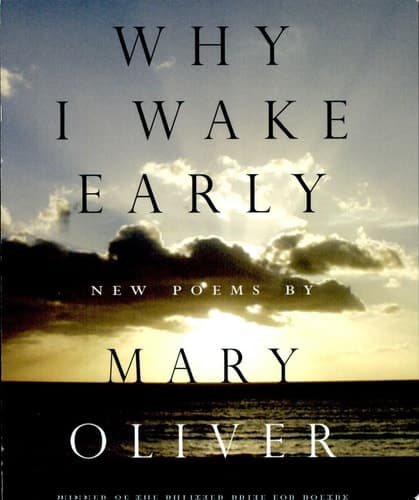 Cover of Why I Wake Early New Poems