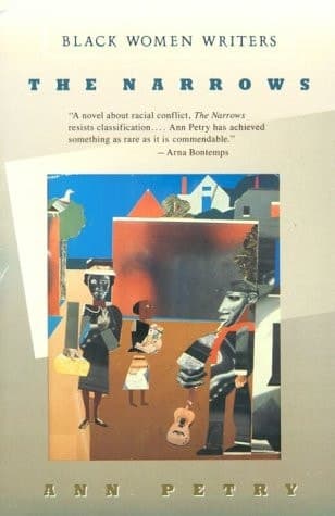Cover of The Narrows (Black Women Writers Series)