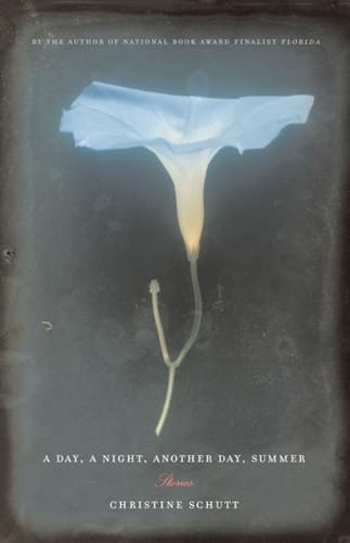 Cover of A Day, A Night, Another Day, Summer Stories