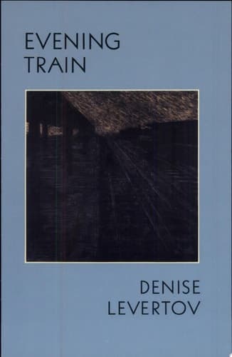 Cover of Evening Train