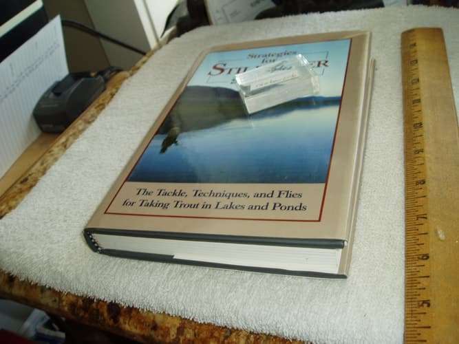 Cover of Strategies for Stillwater