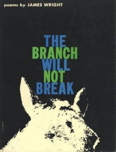 Cover of The Branch Will Not Break Poems