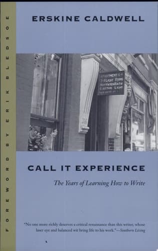 Cover of Call it Experience The Years of Learning how to Write