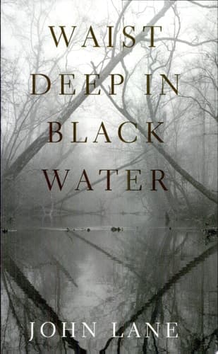 Cover of Waist Deep in Black Water