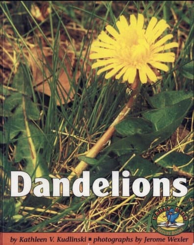 Cover of Dandelions