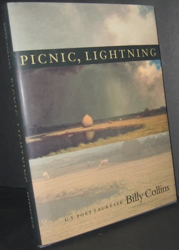 Cover of Picnic, Lightning