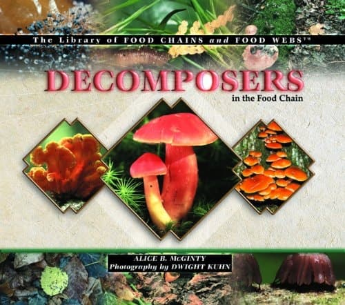 Cover of Decomposers in the Food Chain