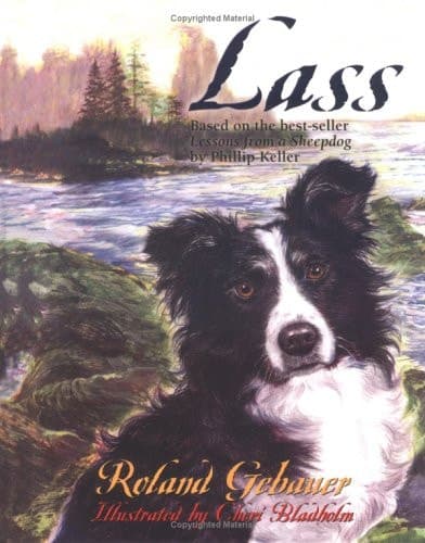 Cover of Lass