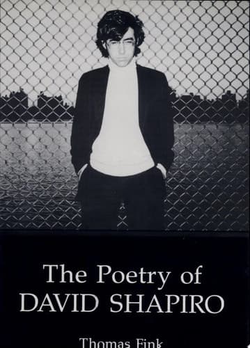 Cover of The Poetry of David Shapiro