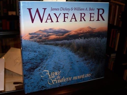 Cover of Wayfarer A Voice from the Southern Mountains