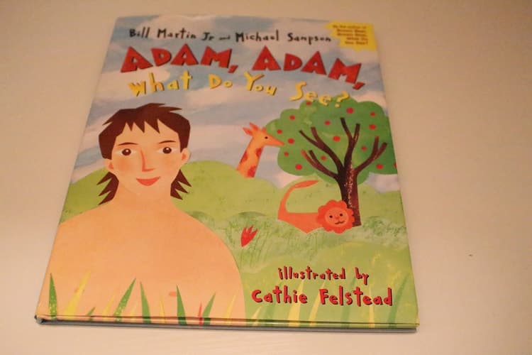 Cover of Adam, Adam, What Do You See?