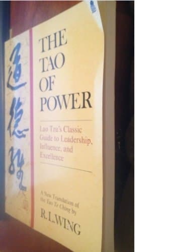 Cover of The Tao of power a new translation of the Tao te ching