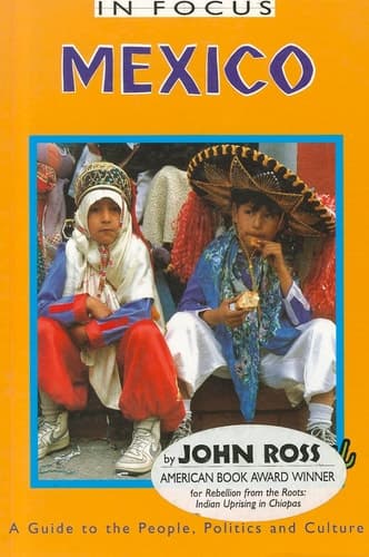 Cover of Mexico in Focus